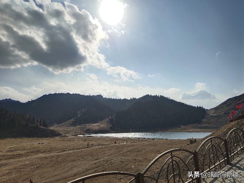 新疆棉花涨势,新疆棉花经济热点