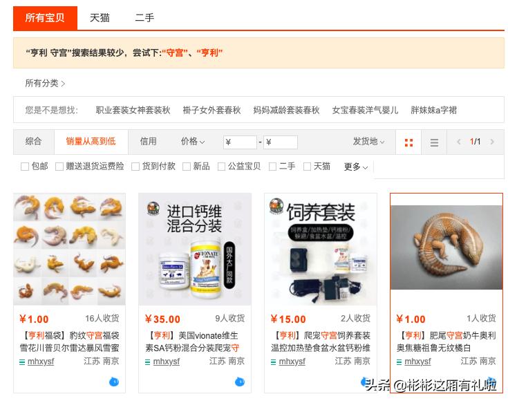守宫新手养一只还是两只,守宫小白怎么养