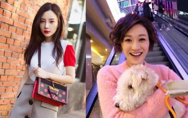 张韶涵张馨予张含韵,张韶涵张含韵张馨予张予曦