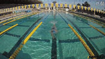 自由泳滚翻转身蹬壁,前滚翻动作练习方法步骤