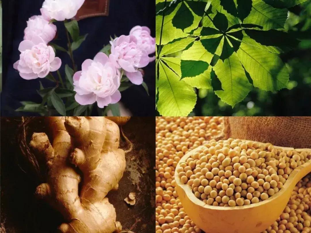 如何选择面霜才正确,如何选择正确的儿童面霜