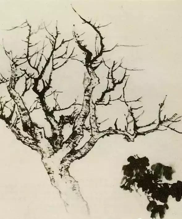 缠枝、挺杆、屈节、钮裂、一棵树如何画？看了这篇你绝对能学会