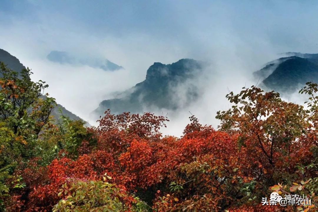 这就是生活第40集刘恺威,这就是街舞3