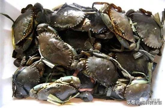 102种海鲜,营养丰富的海鲜有哪些品种