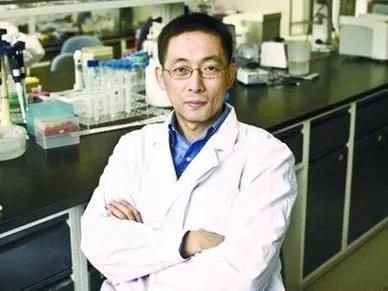 高校老师真实收入,高知高收入群体原视频