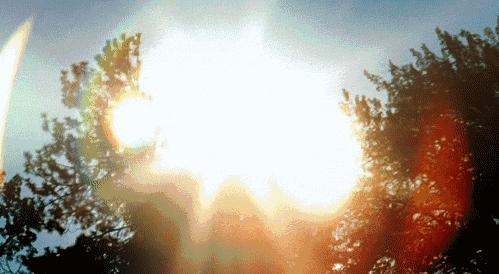 营养密度与能量密度,营养密度这是什么概念