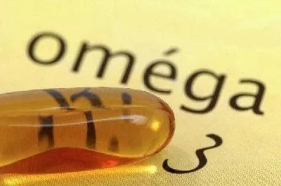 提高抵抗力的宠物食品,增加宠物抵抗力吃什么食物