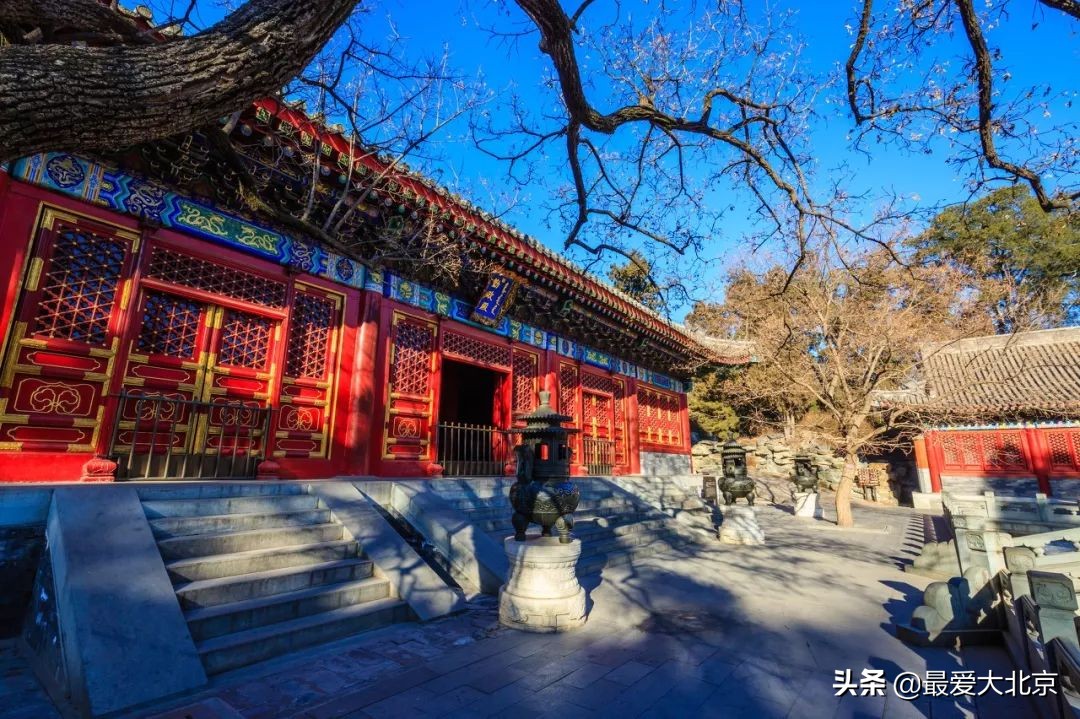 香山红叶几月去最好香山用预约吗,去北京香山看红叶别去爬山吗