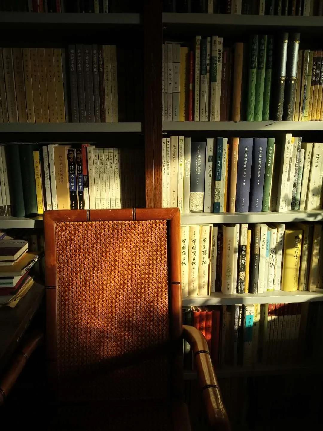 杂谈上海滩,杂谈儒林外史