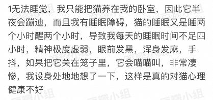 自从接了一只猫回家,突然养猫了很焦虑