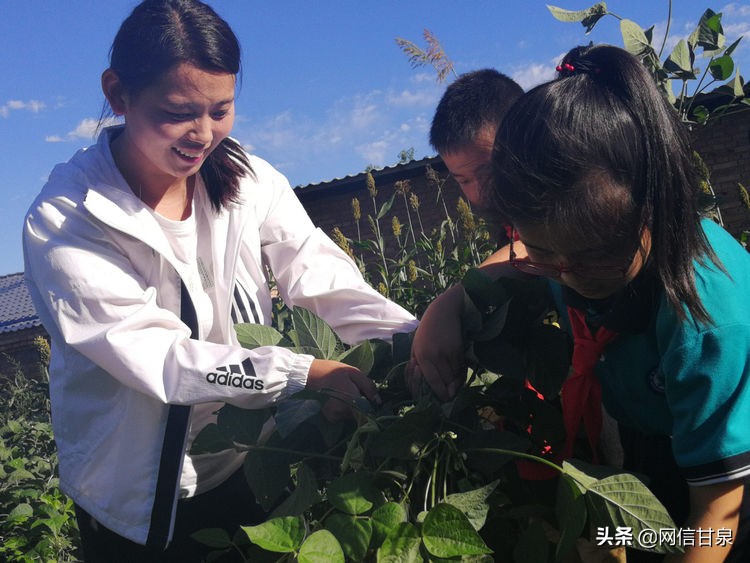 延安甘泉：播种绿色希望，收获金色成长——记甘泉县第三小学综合实践活动