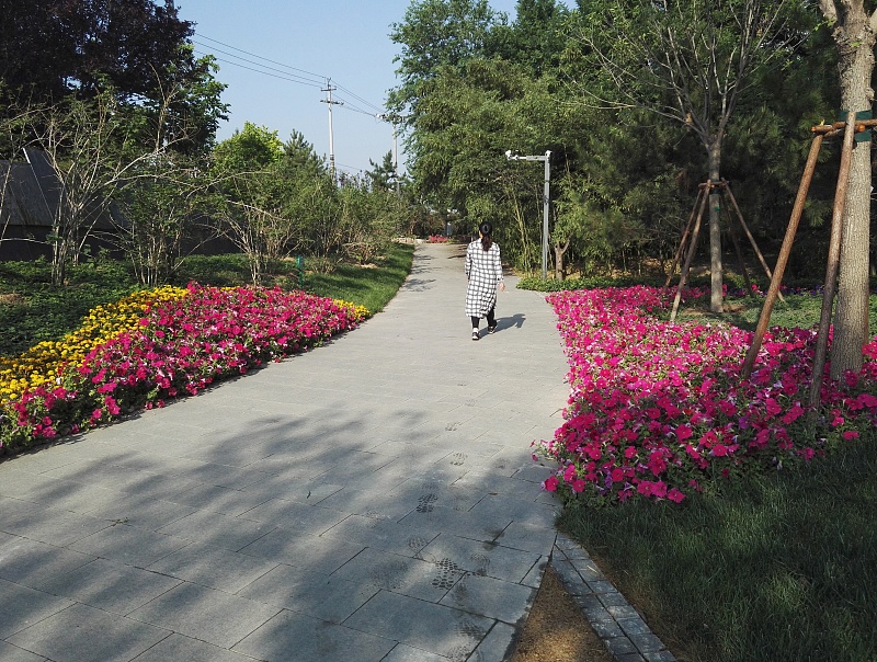 为了便宜的房子买了顶层,为了省钱买了顶楼的房子