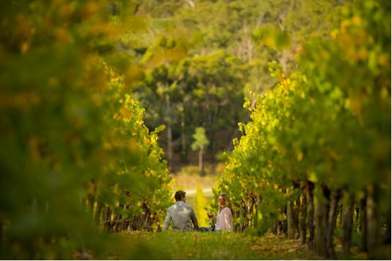让黄晓明上瘾的南澳大利亚，到底有什么魔力？