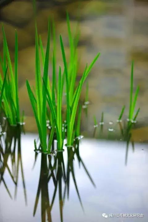 晋城陵川“蒲水”：这里是神仙住的地方