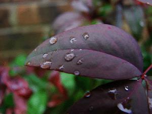 摄影色彩基础知识大全,摄影中如何更好更巧妙的运用色彩