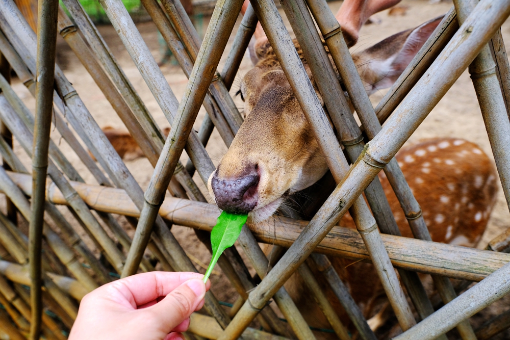 福建六鳌海滩,得天独厚图片
