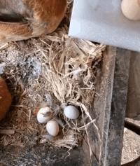 无线路由器搞笑图片,搞笑路由器视频大全