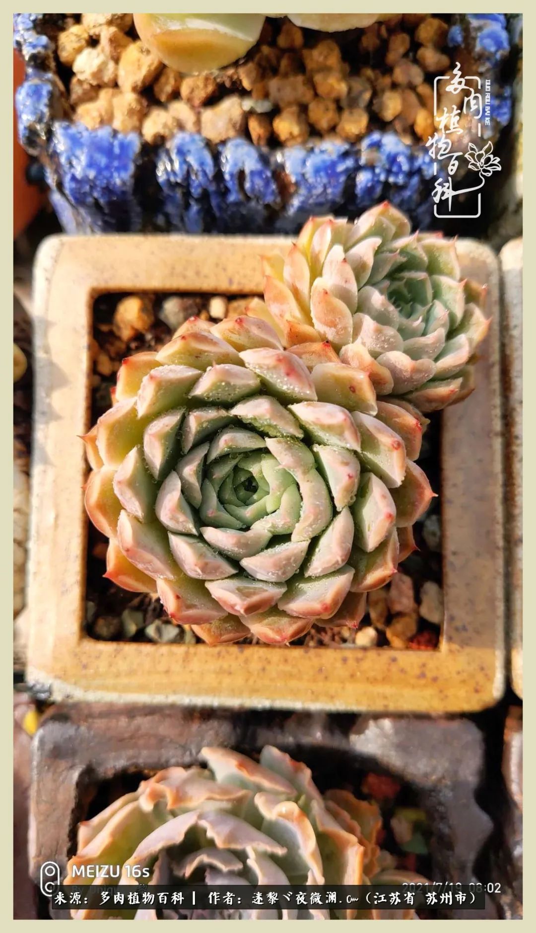 秋尽冬来岁月不居时节如流,岁月不居时节如流水