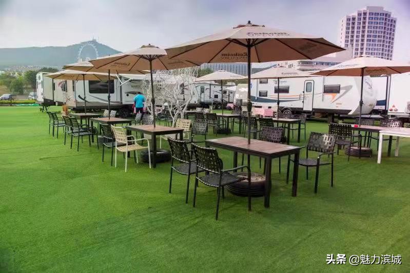 大连银泰王艺,大连银泰集团董事长