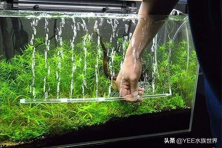 静音氧气泵使用方法,氧气泵太吵从这几点入手效果明显