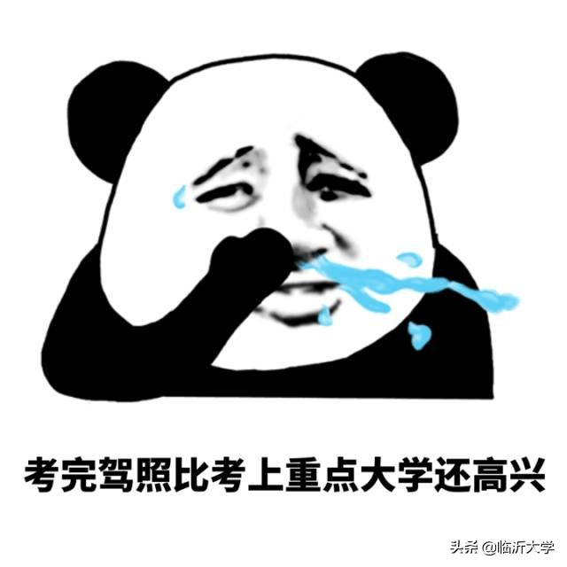 明星学车考驾照经历,一次难忘的学车过程的作文