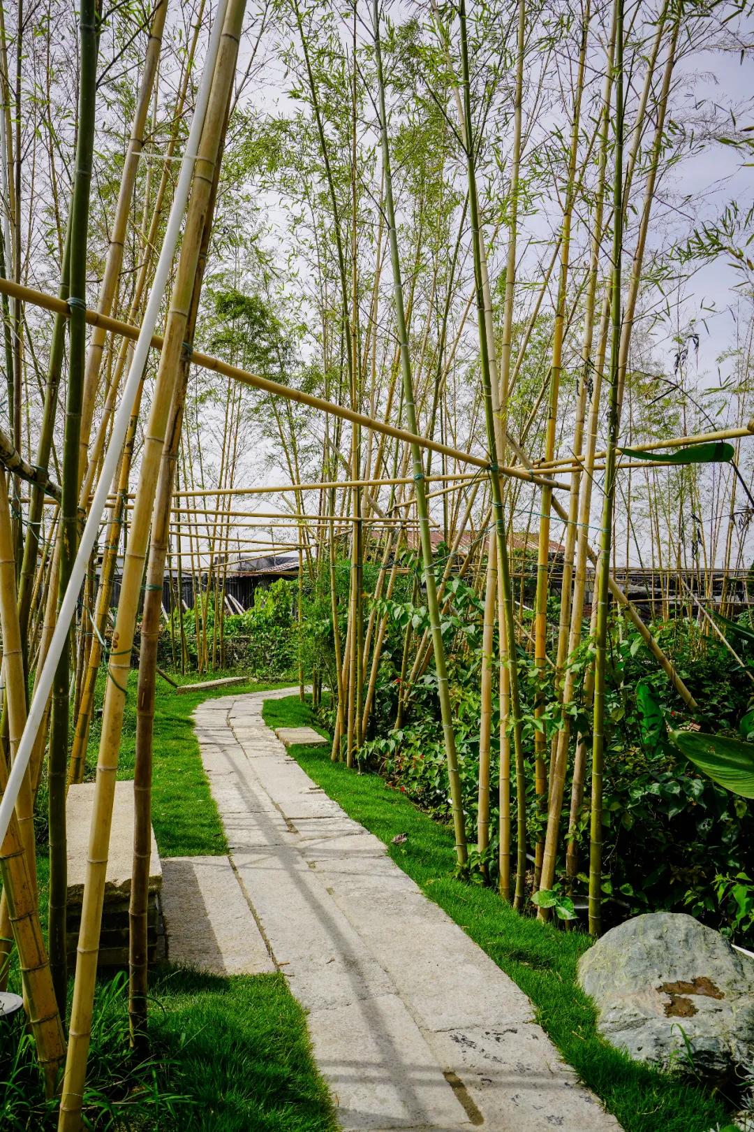 顺德十大隐蔽餐厅,顺德隐藏的餐厅