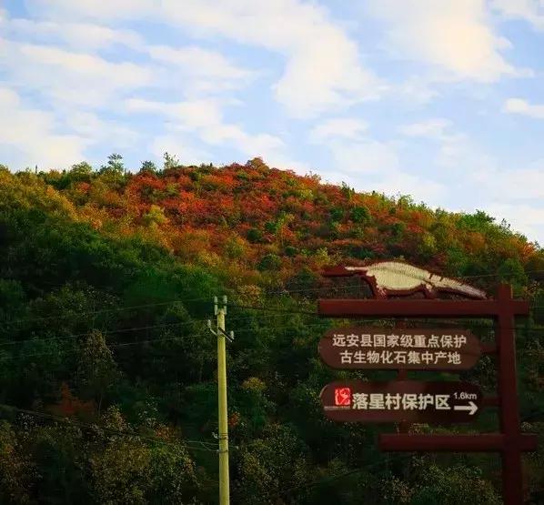 远安历史,远安历史文化