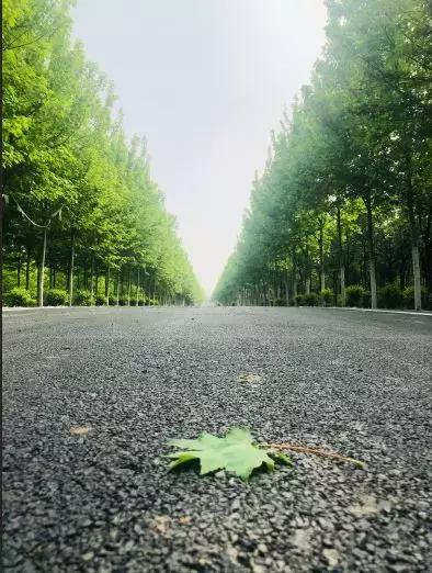 邯郸太行药王谷邀请您~相约五月花神