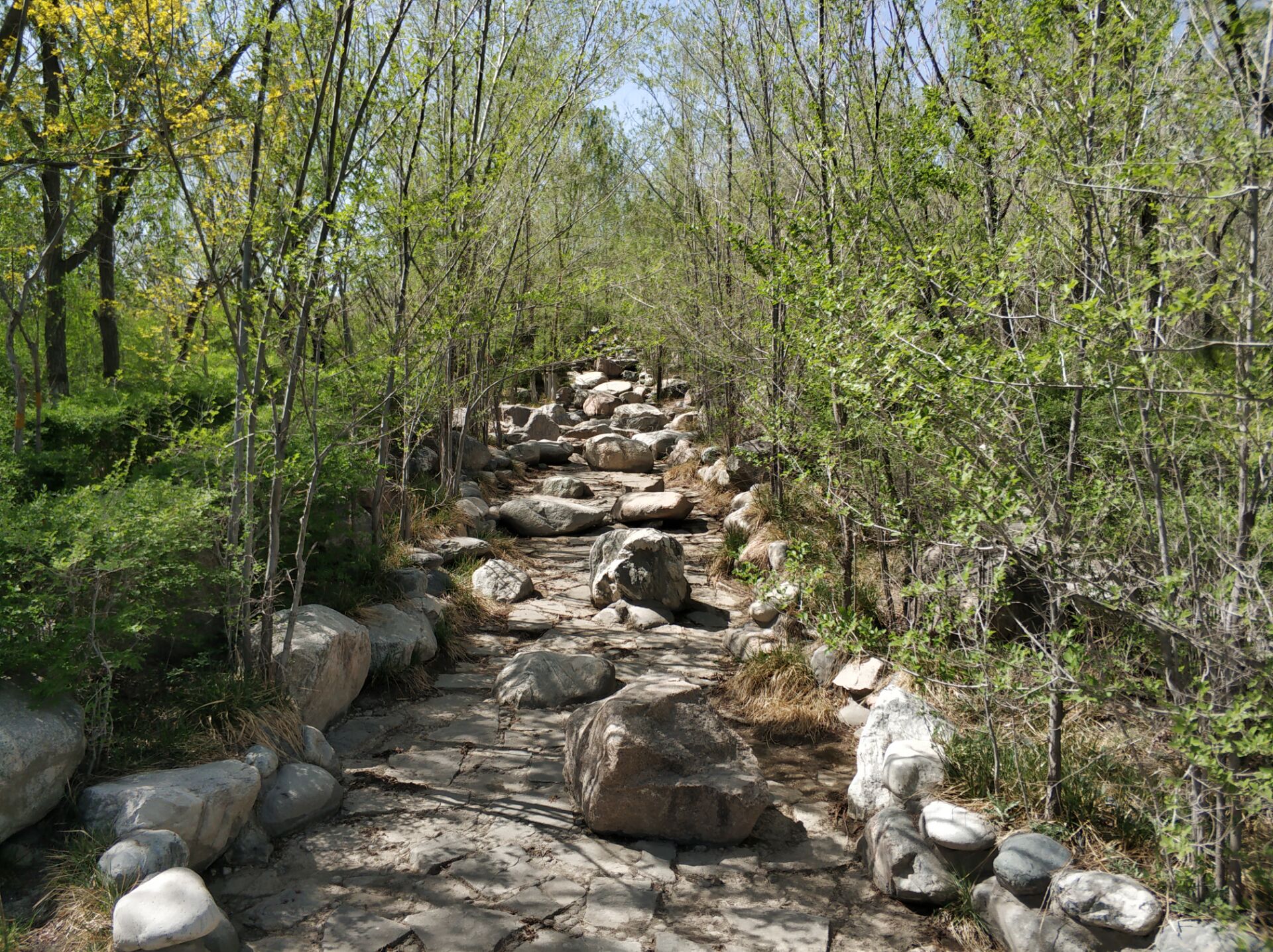 乌鲁木齐居然有这么漂亮的地方,乌鲁木齐周边森林公园在哪里