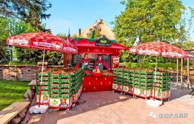 用一颗草莓吸引5百万游客,开5家主题乐园、4家超市、300个草莓屋
