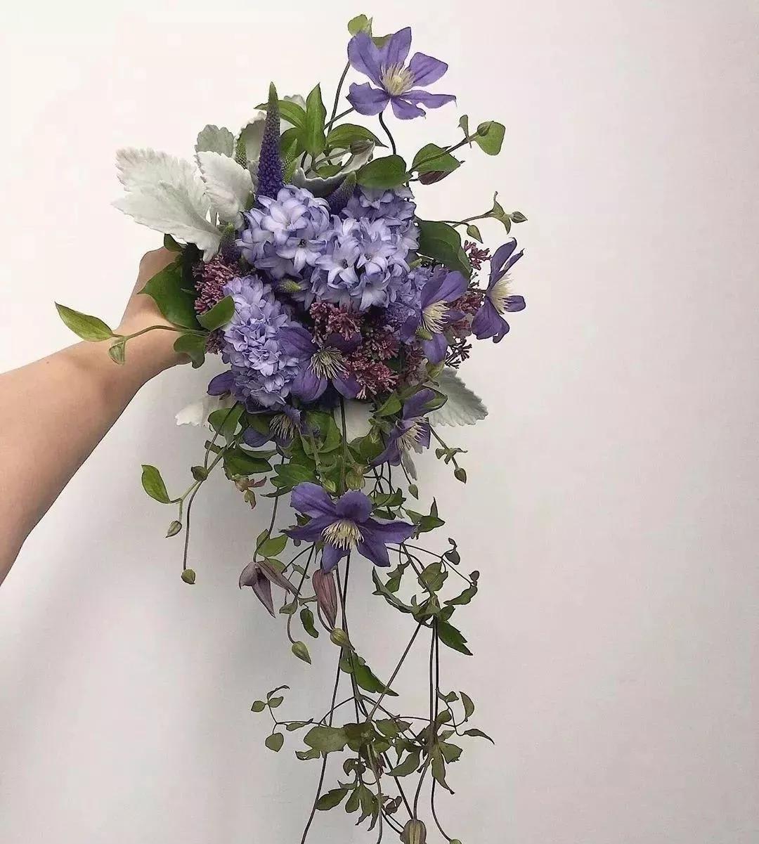 花材不剪枝如何养护,花材不用换水养护方法大全