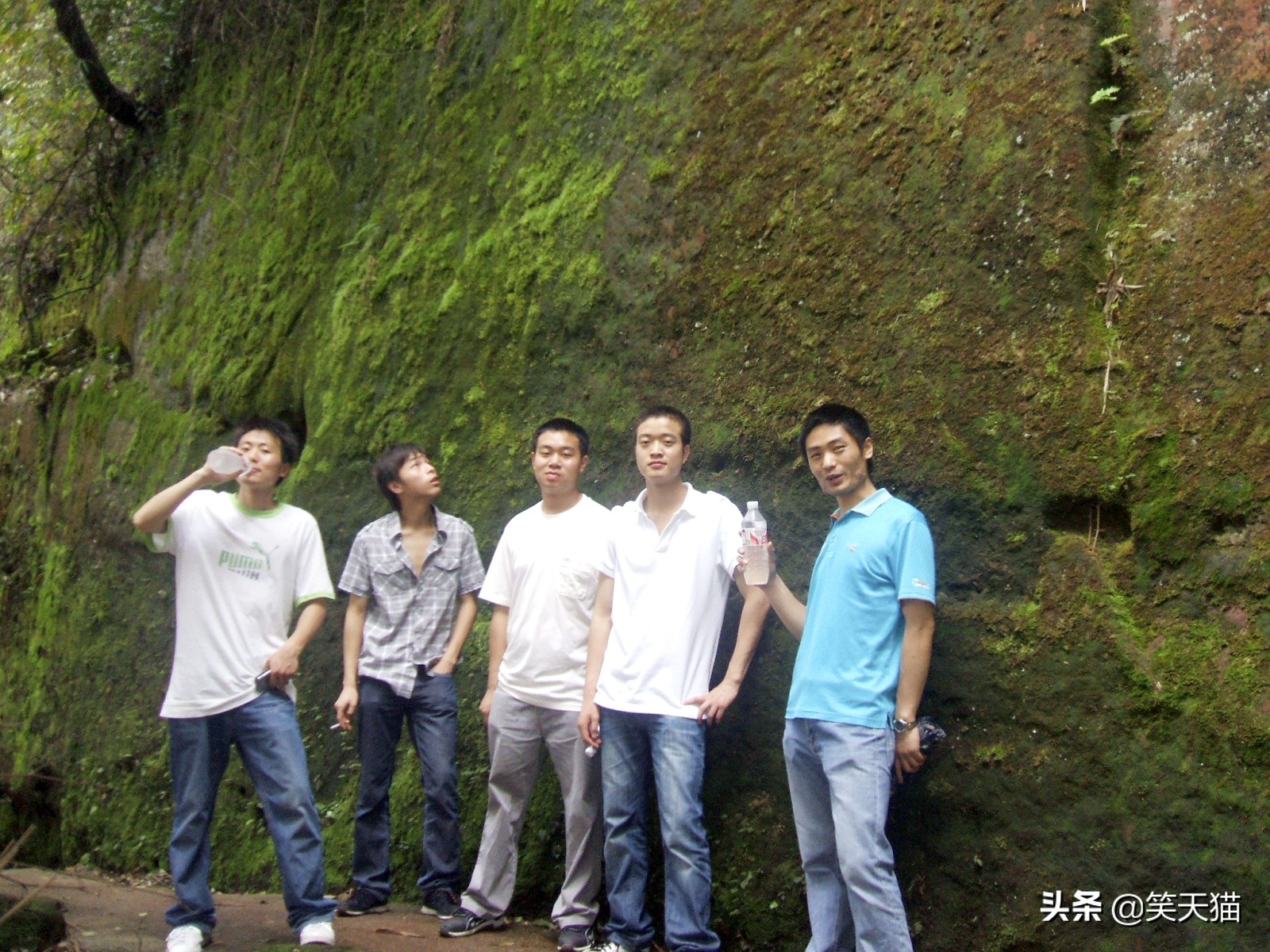 四川宜宾竹海风景,宜宾蜀南竹海全视频