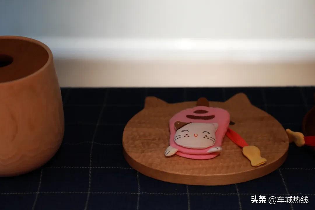 萌化了！十堰茅箭区首届撸猫节，周末约起