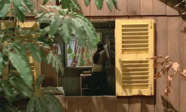 与青木瓜之味类似的电影,艺伎回忆录美学剖析