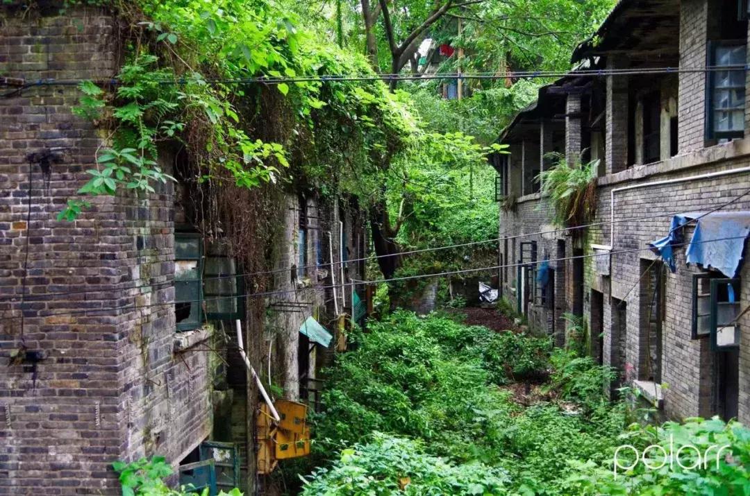 铜元局记忆视频,铜元局记忆照片