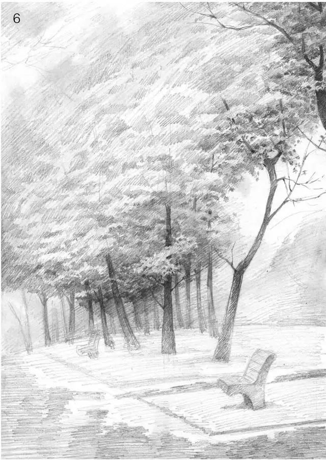 素描雨天树林图片简单版,用八开素描纸怎么画树林
