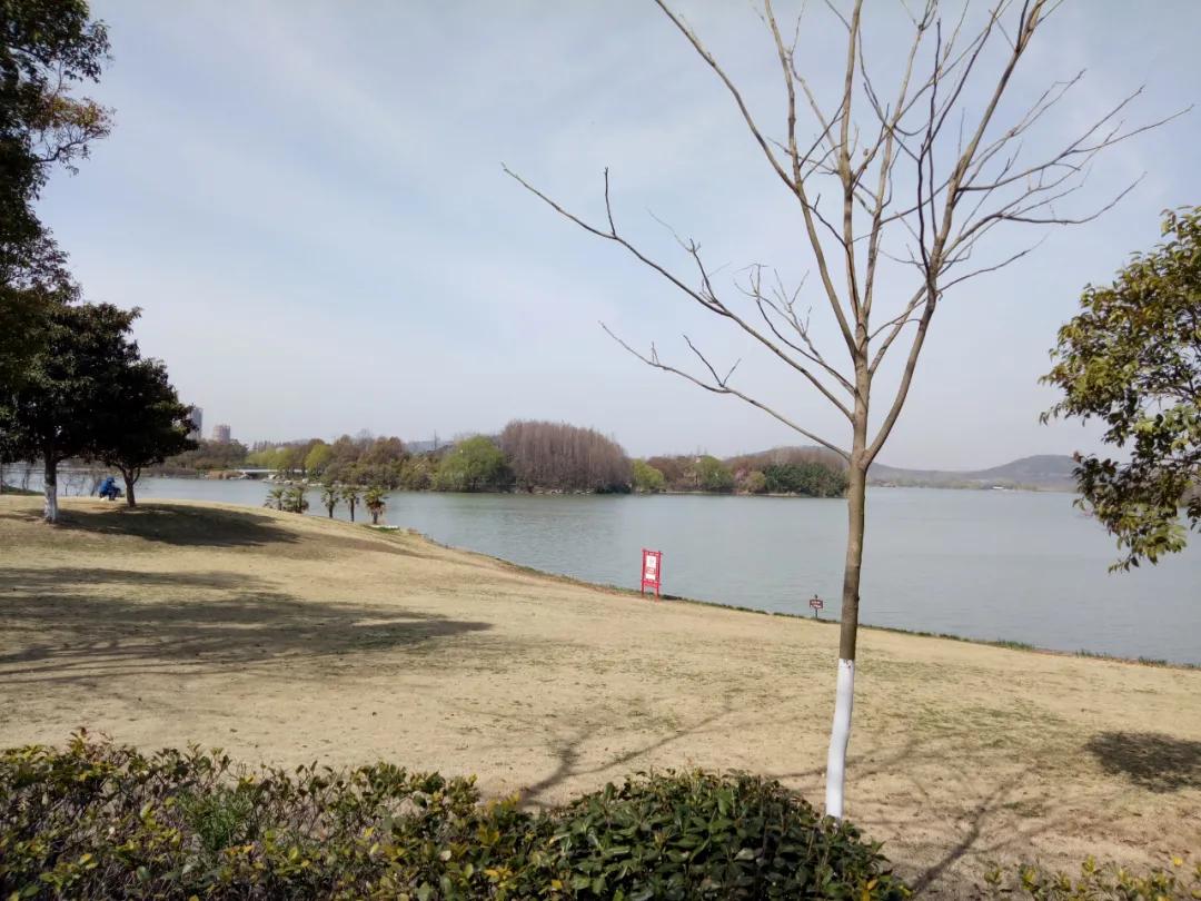 烂尾楼重获生机,徐州新城区烂尾商业