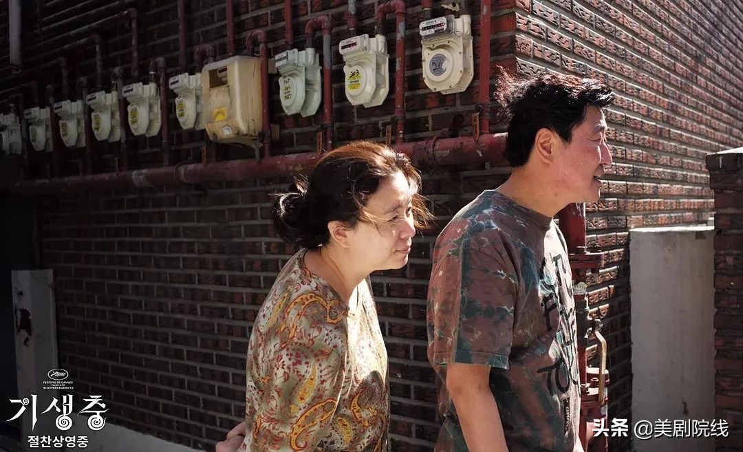 寄生虫获奥斯卡,寄生虫凭什么获得奥斯卡