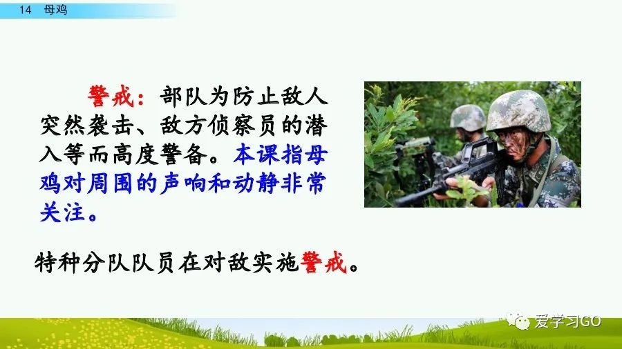 四年级下册语文母鸡课文重点讲解,四年级下册语文14课母鸡重点知识
