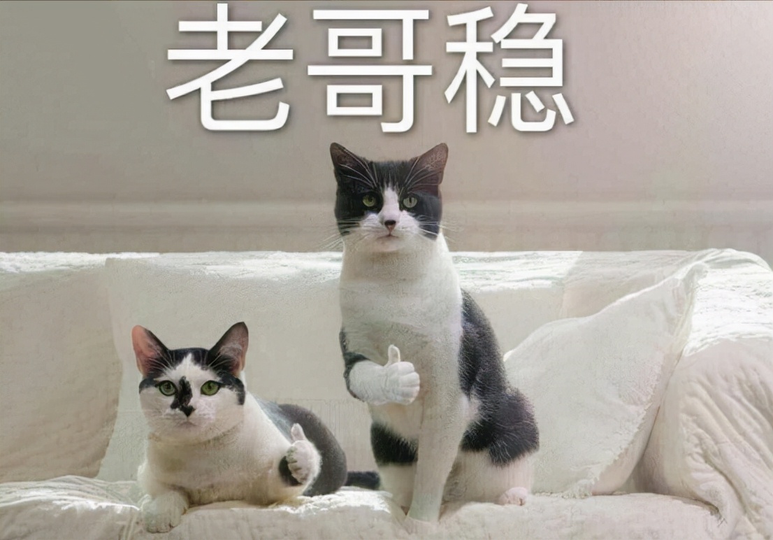 澶╀笅3鎴樺満鍑绘潃璁板綍,澶╀笅3缇芥瘺鍗曟寫瑙嗛