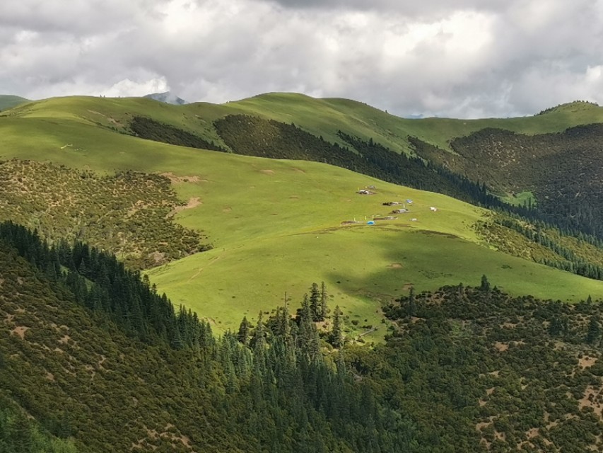 雅江到稻城香格里拉镇多少公里,理塘到稻城香格里拉镇