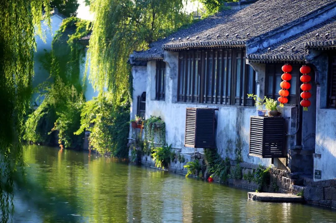 世界最美赏樱地,武汉是全球公认的三大赏樱胜地