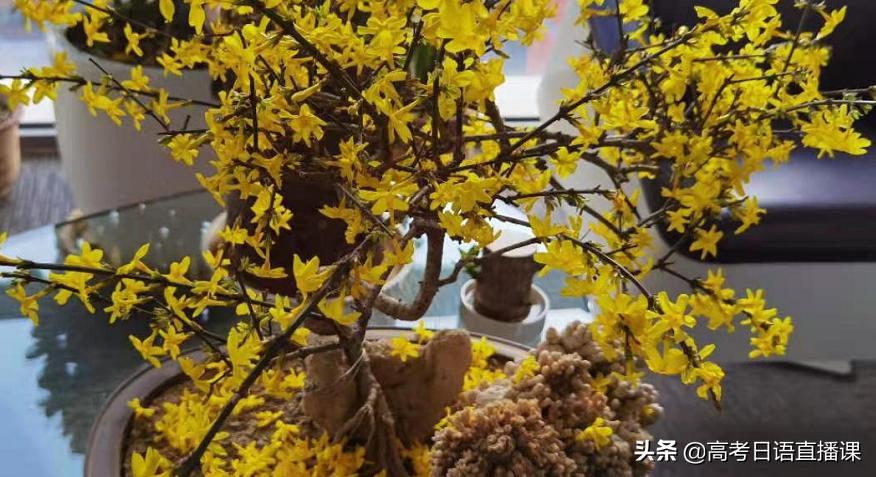 高考日语2400必背单词,高考日语单选题必备语法