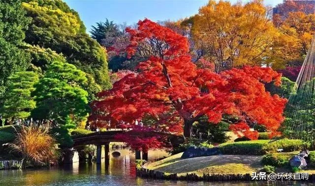 日本东京jr山手线,东京站新干线和山手线