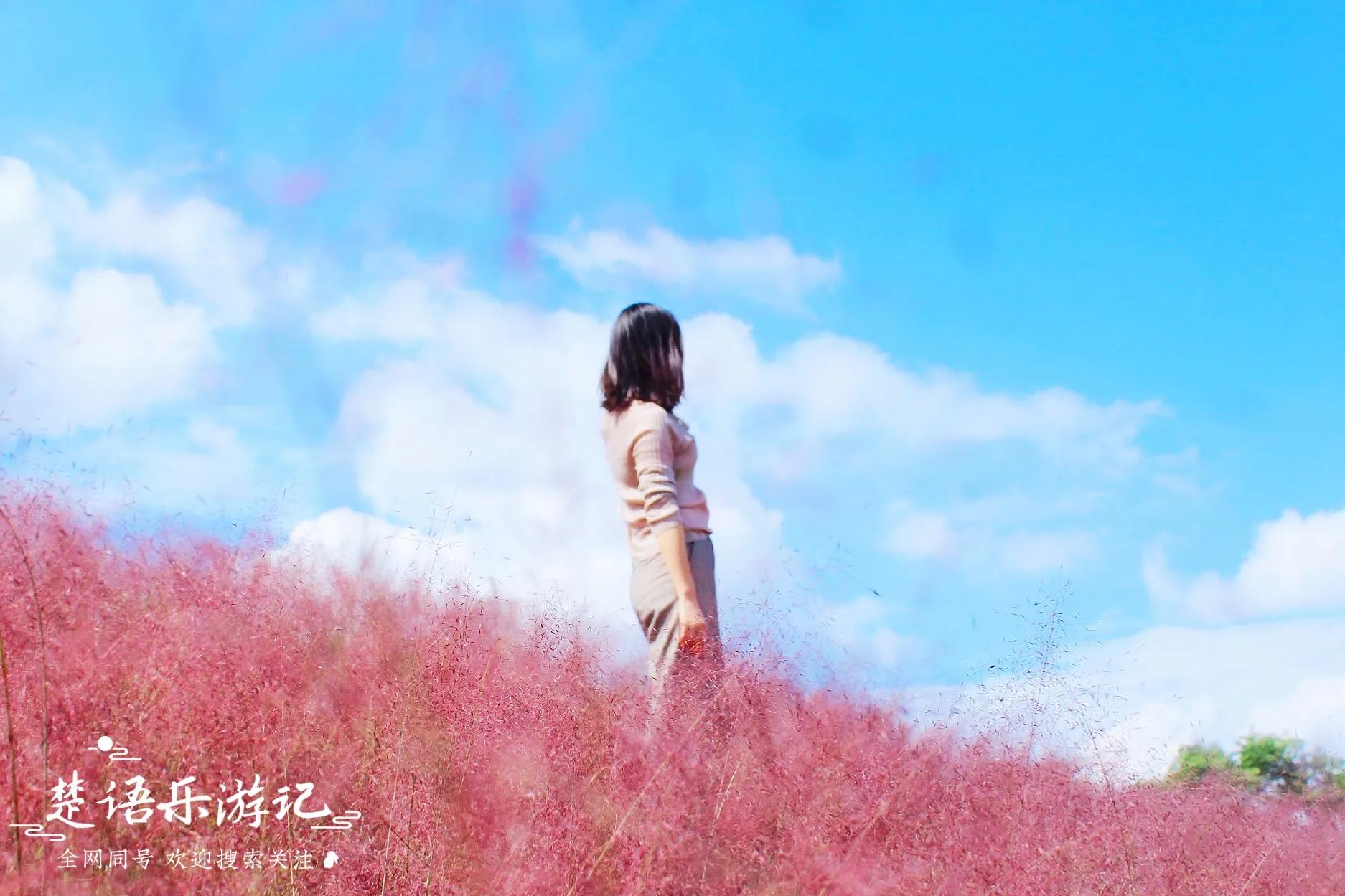 宁波四明山最美古村,宁波又一古镇走红景色不输姑苏