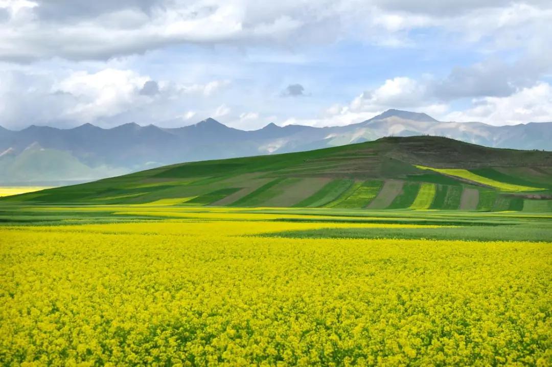 给自己女爱豆生日祝福语,给爱豆四字生日祝福语