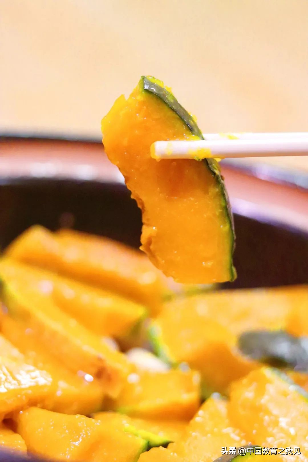 叶南渔村葡萄园,叶南渔村