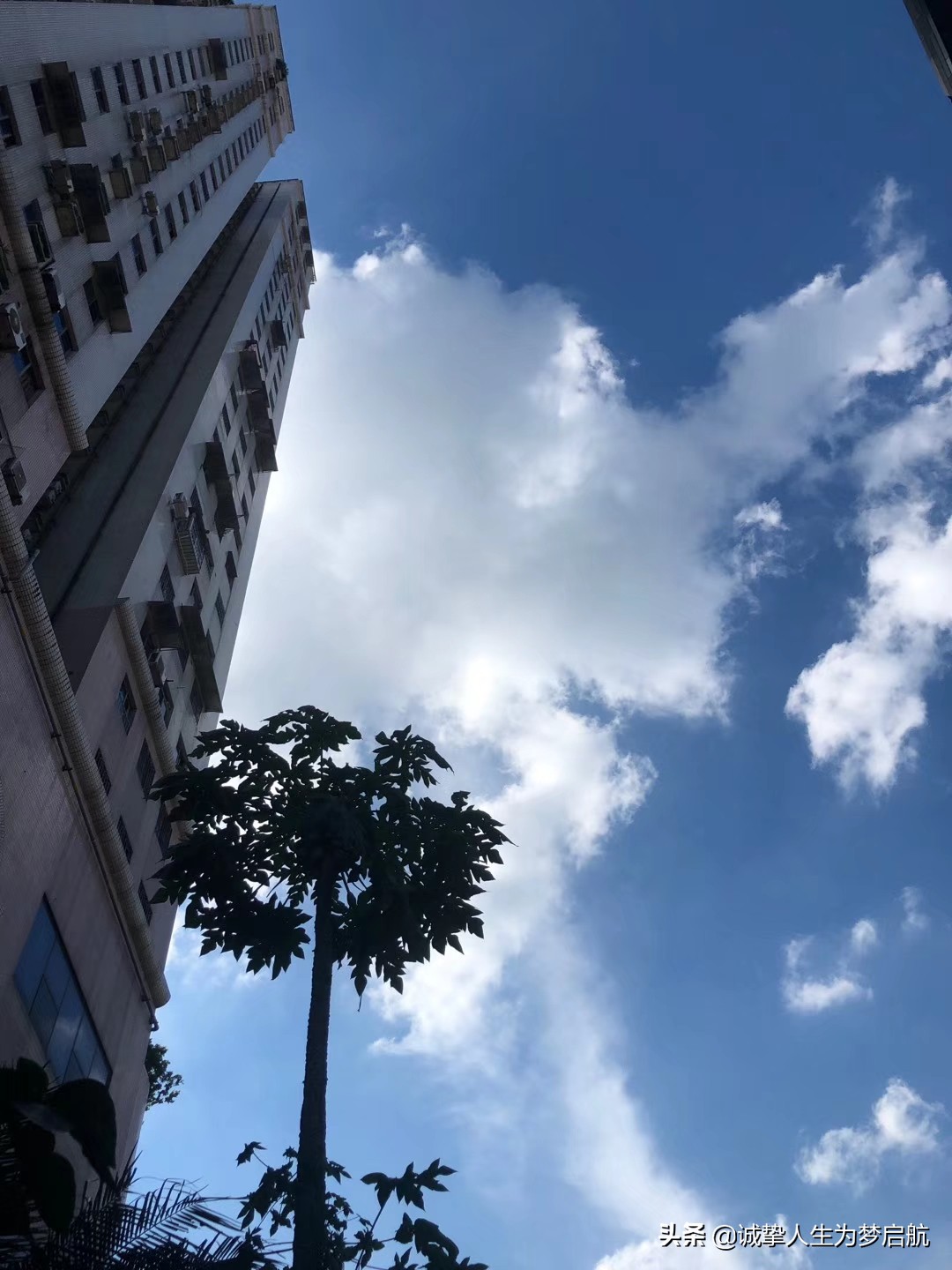 一年一度端午佳节倍思亲,端午节将至每逢佳节倍思亲