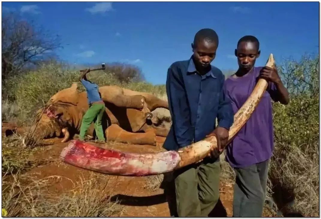 文玩的十大黑幕,文玩最让人无奈的六件事