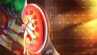 肌酐高对痛风有影响吗,疼痛会导致肌酐高